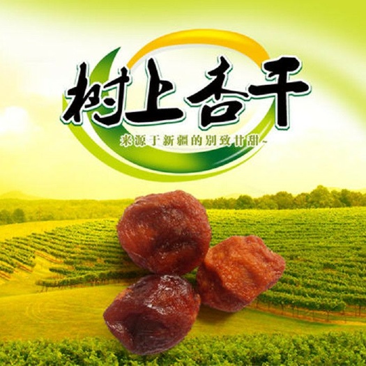 伊宁县小白杏 新疆吊死干