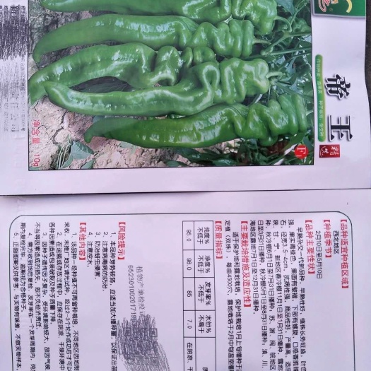 扶沟县螺丝椒种子 螺丝椒。早熟，抗病性强，香脆辣。亩产6500