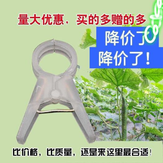 无棣县 包邮  厂家直销 嫁接夹防氧化 塑料绑蔓夹 吊秧夹 量大优