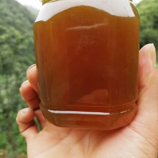 毕节 贵州土蜂蜜