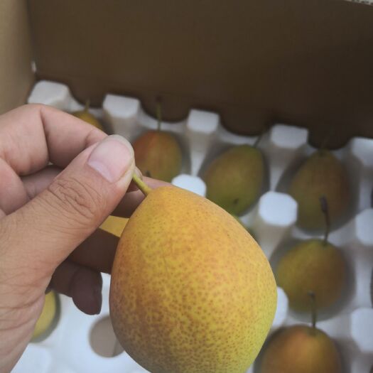  香梨红香梨100-150克