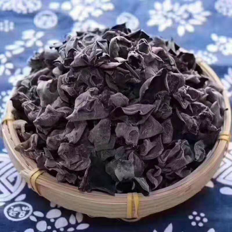  东北小木耳
