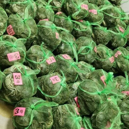 兴化市 大闸蟹批发拿货