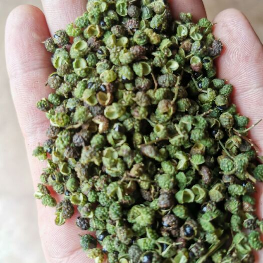 丽江青花椒  云南生态花椒