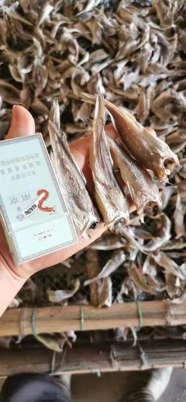 广州黄鱼干 