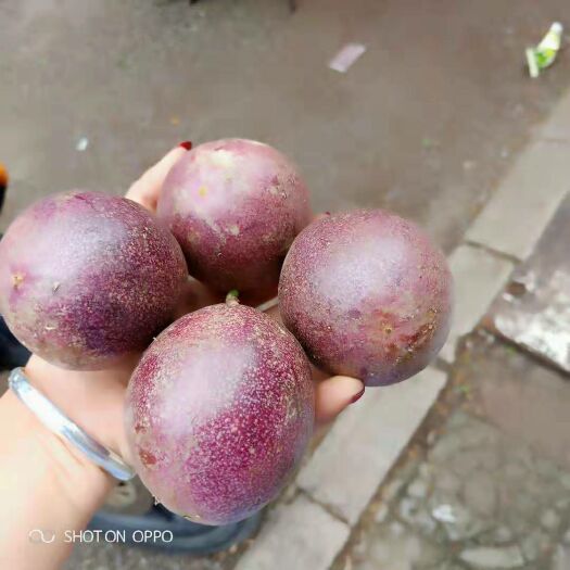 贞丰县百香果果脯 散装 2-3个月