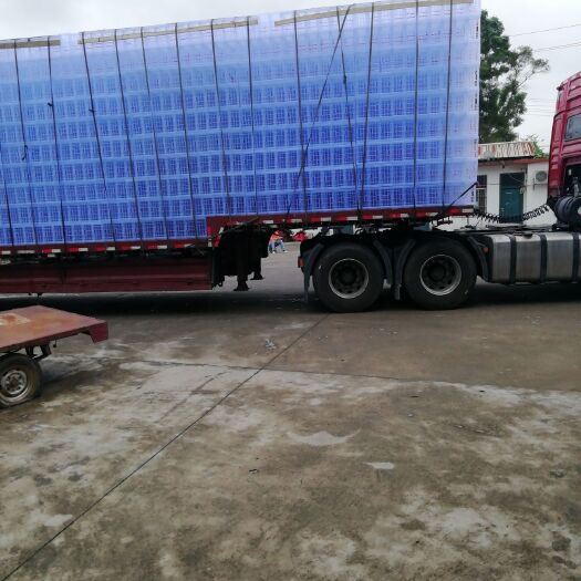 百色塑料筐  18斤白筐17.5米山东走一车，有需要的老板联系