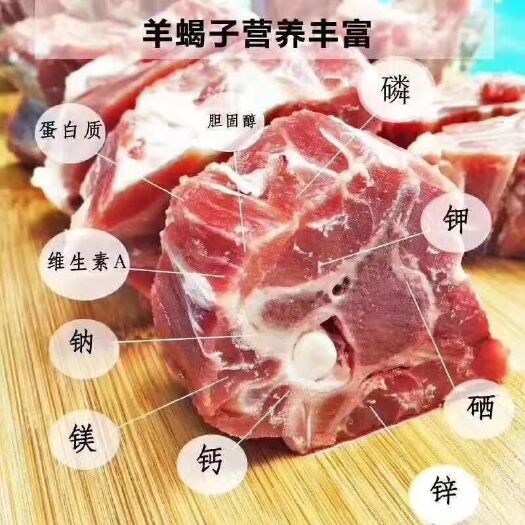 多伦县 天然肉蒙古放养牛羊肉