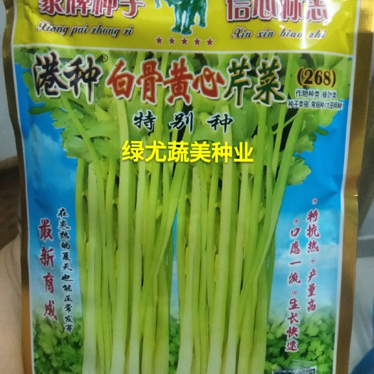 黄心芹菜种子，白骨黄心，直立，美观。