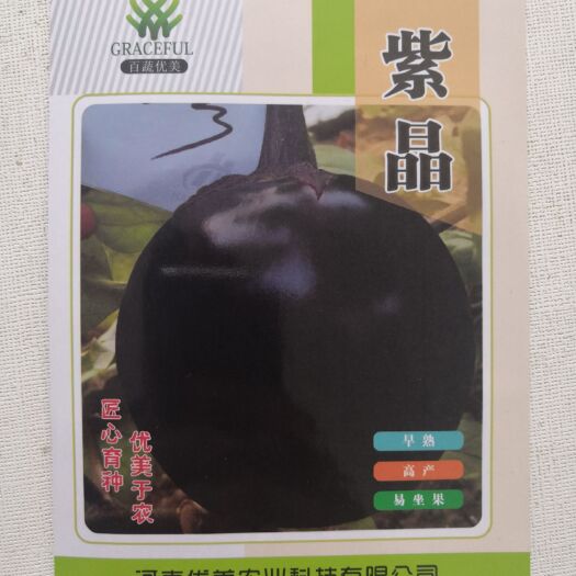 商水县茄子种子 紫圆茄杂交新品种