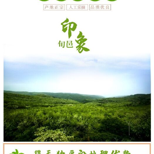 旬邑县 旬邑天然香甜黄花菜