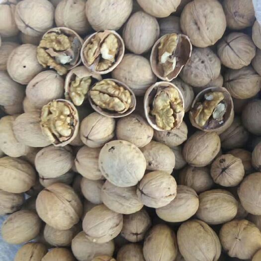 赞皇县香玲核桃 大量联系香玲