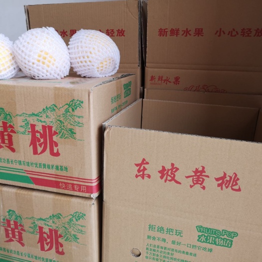 武功县锦绣黄桃 现摘现发