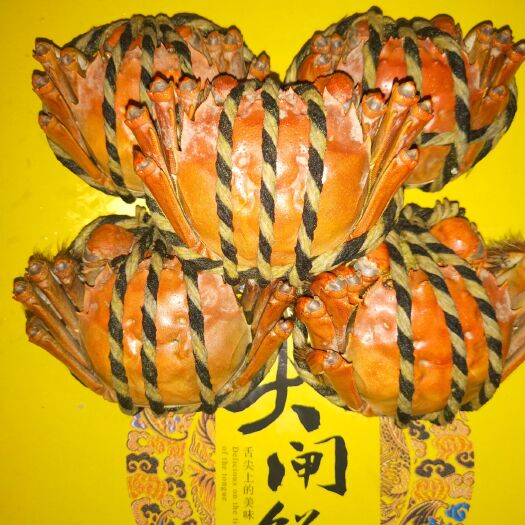 芜湖 大闸蟹