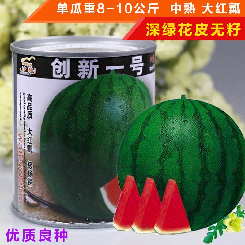 樟树市 无子西瓜种子创新一号新疆原种无籽单瓜10公斤皮薄味甜红瓤