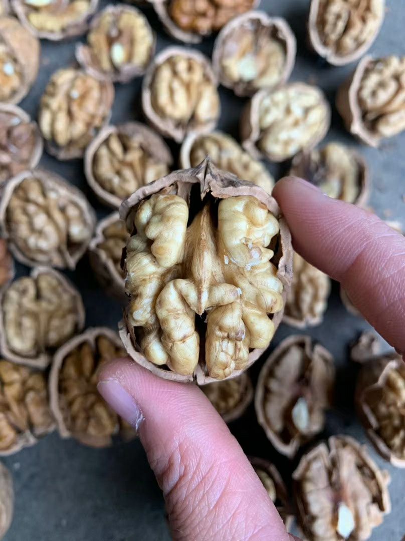 云南核桃  壳薄米子好