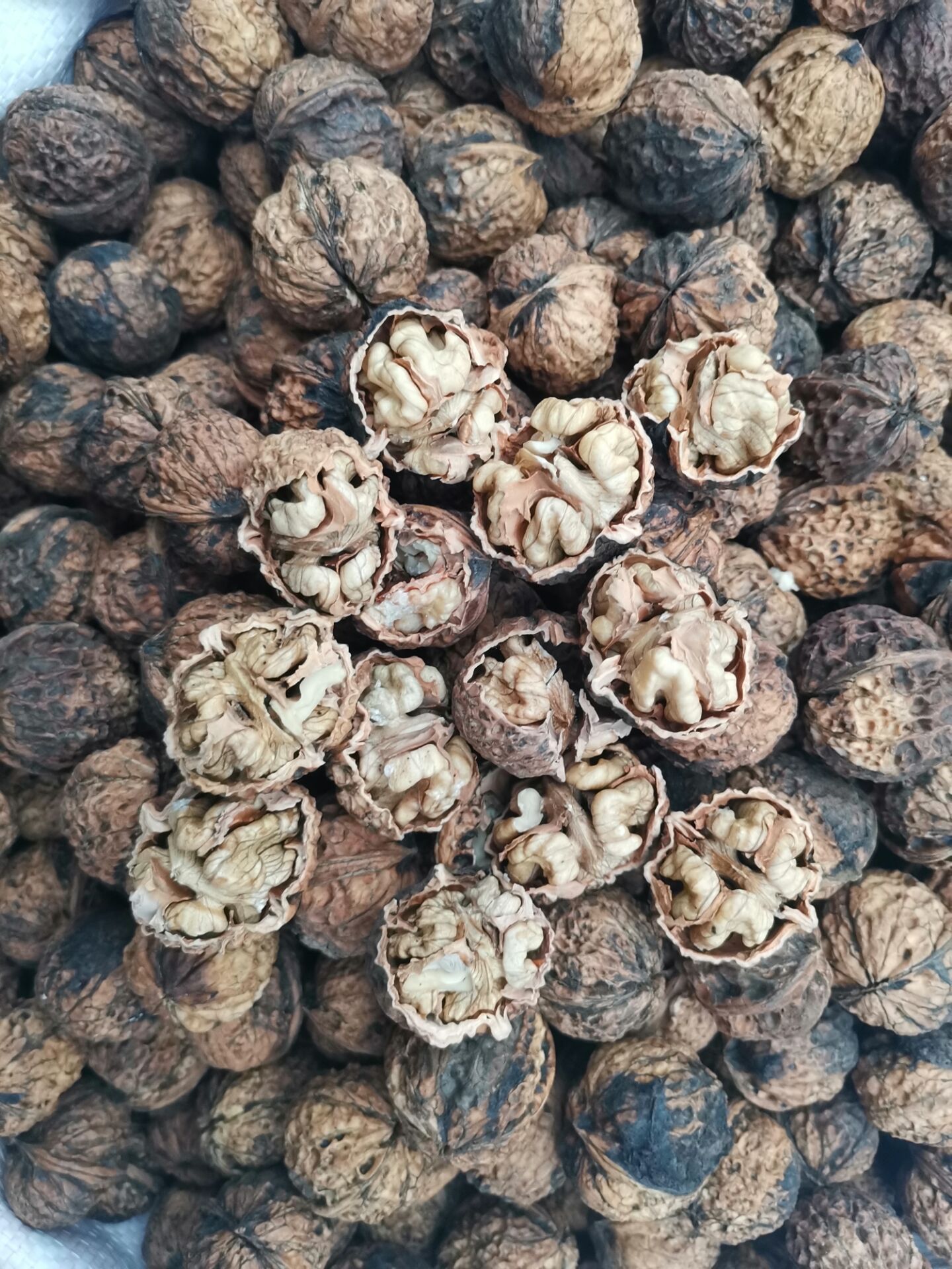 云南核桃  壳薄米子好