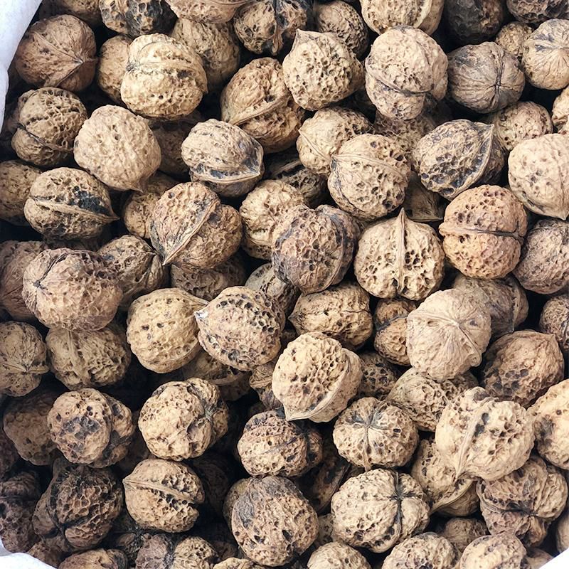 云南核桃  壳薄米子好