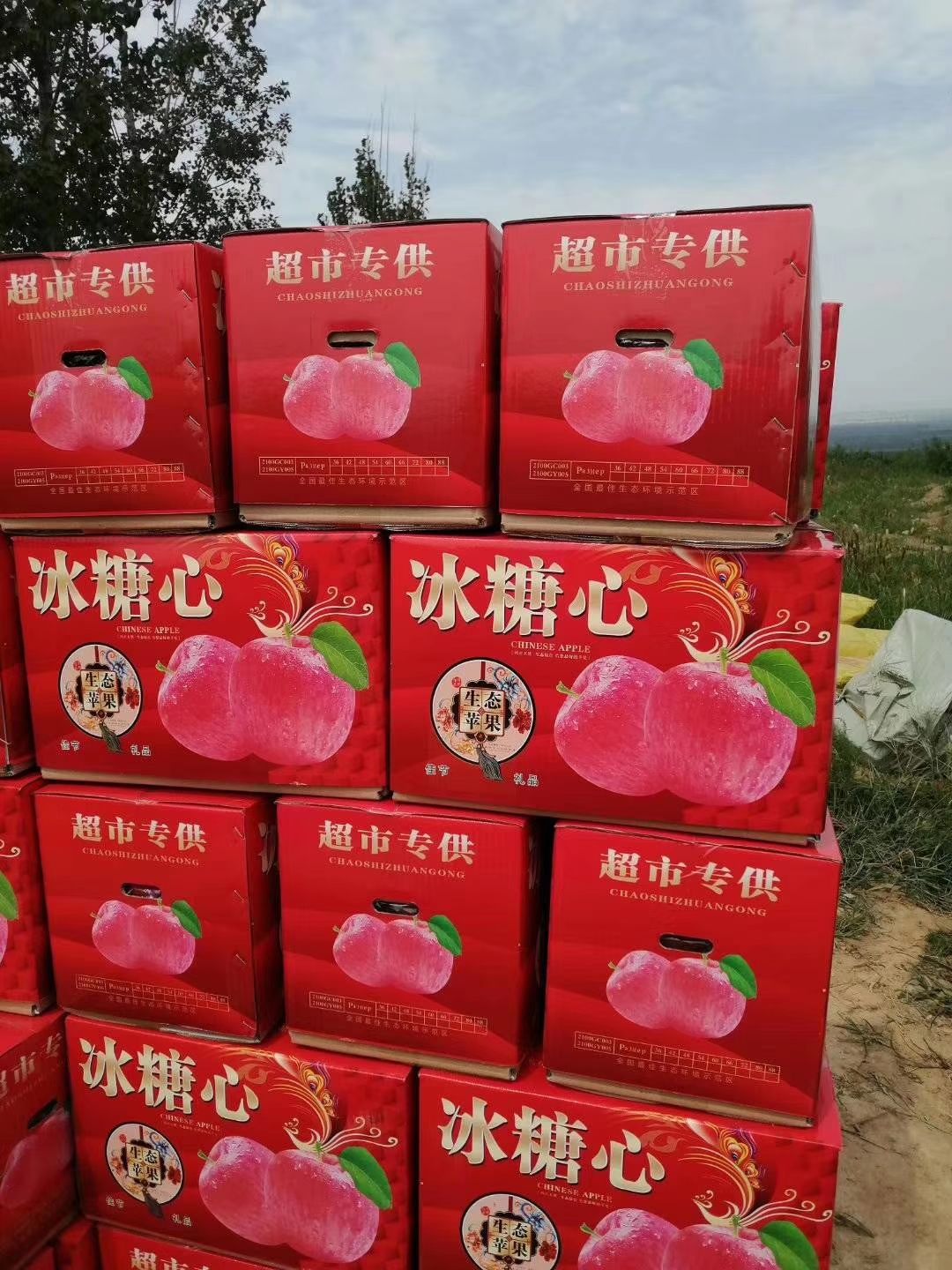 红星苹果  山西 万荣 纸袋新红星 75以上 中秋节馈赠佳品