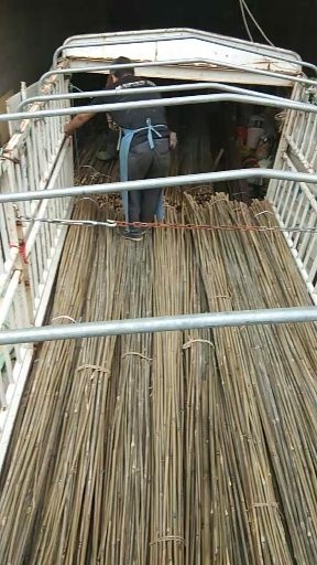 广元木竹