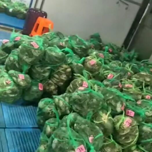 深圳 兴化大闸蟹