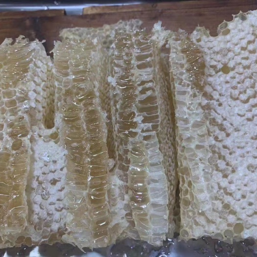济宁 天然蜂巢蜜