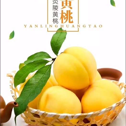 炎陵县 炎陵黄桃，桃醉天下!