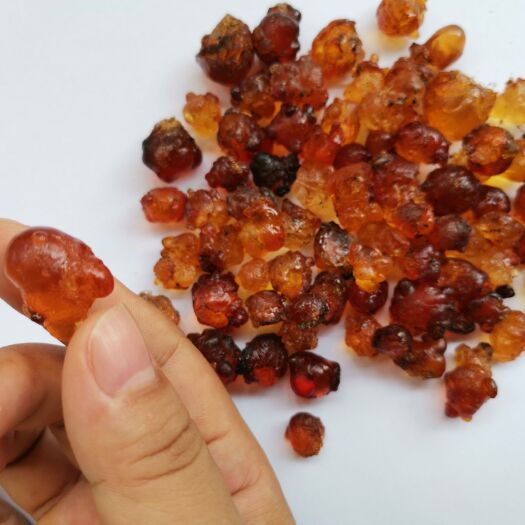 随州 大颗粒珠珠桃胶