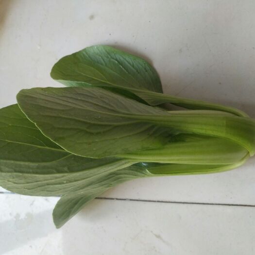 张家口北方小油菜 2~3两 