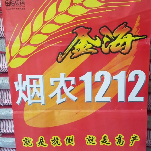 商河县白麦  烟农1212