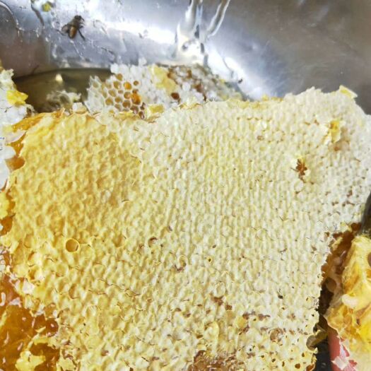 芒市野生蜂蜜 健康美容又美味