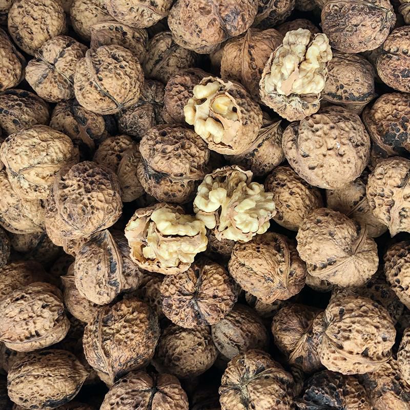 云南核桃  壳薄米子好