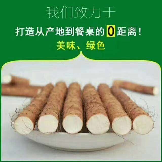  怀庆府温县垆土地铁棍山药！欢迎电商微商，一件代发真空包装