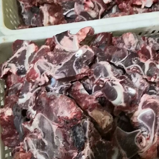 阳信县牛脖骨 牛骨头 肉多 国产纯干货