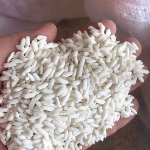 靖西市大粒白糯米