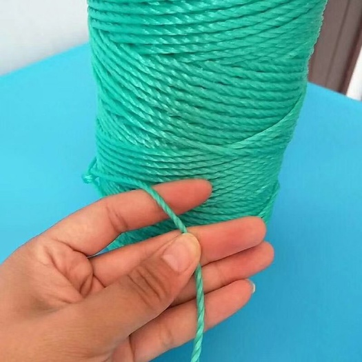 无棣县吊秧绳吊蔓绳大棚蔬菜吊绳辣椒黄瓜西红柿吊绳聚乙烯尼龙绳