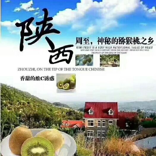 周至县 萃香猕猴桃，可代卖