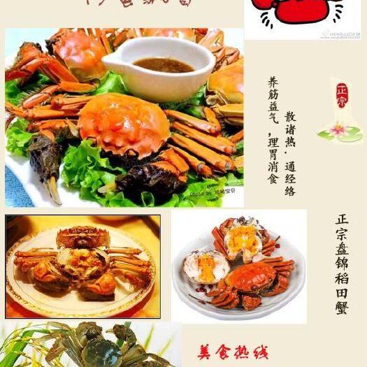  纯正稻田河蟹需要+2235655583