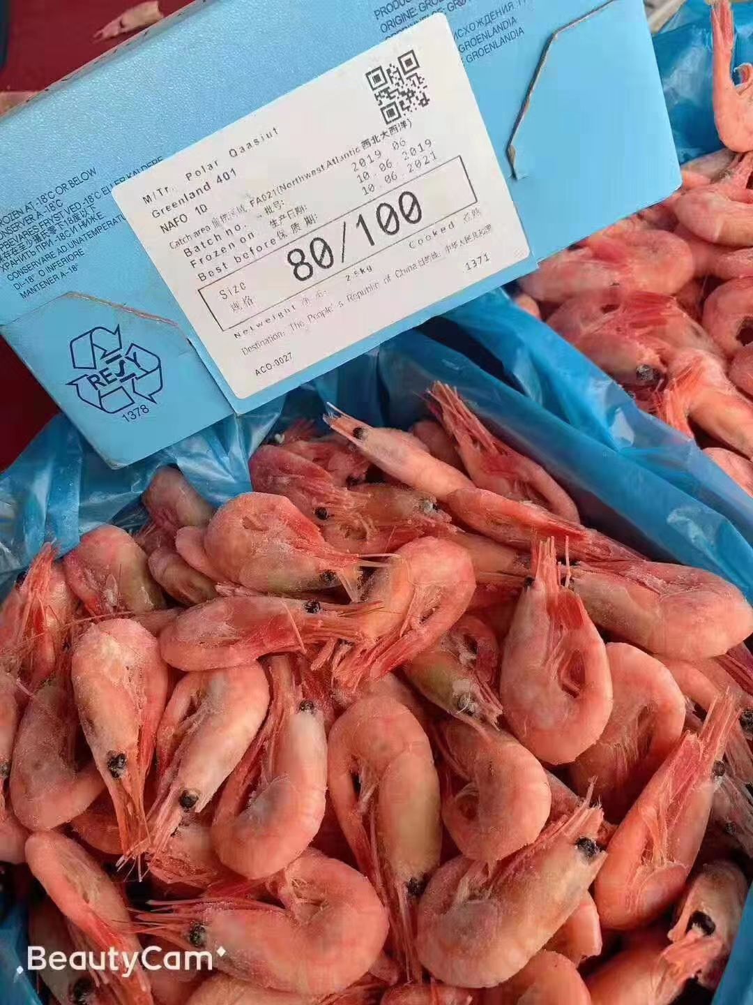  北极虾批发    可一件代发