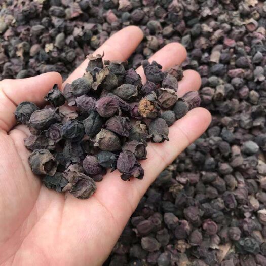 南雄市桃金娘 三蒸三塞  稔子