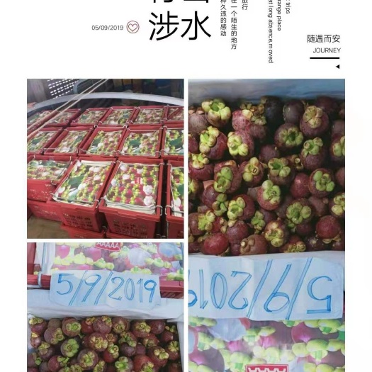 景洪市 泰国山竹(3A~6A)通货