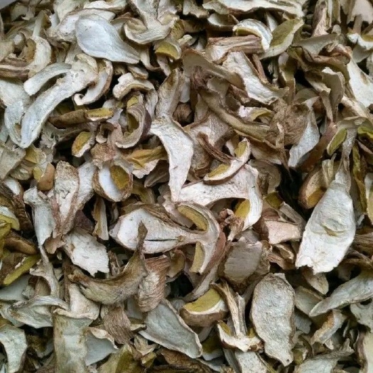景东县牛肝菌美味牛肝菌