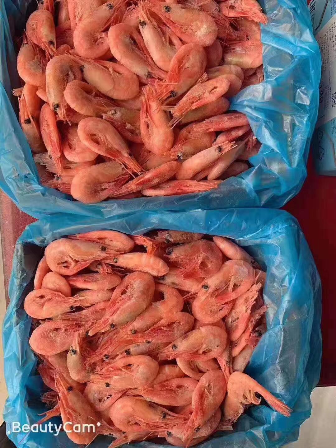  北极虾批发    可一件代发