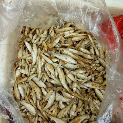 赣州小麦穗鱼干 陡水湖柴火烤鱼