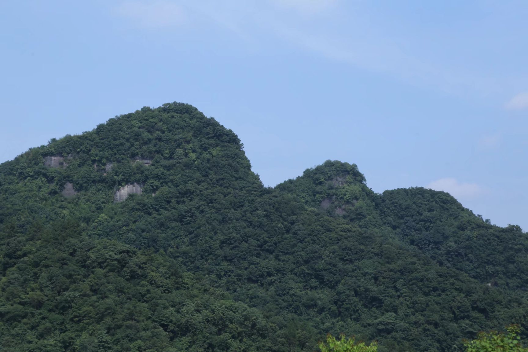 干土豆 高山农家天然晒制土豆片