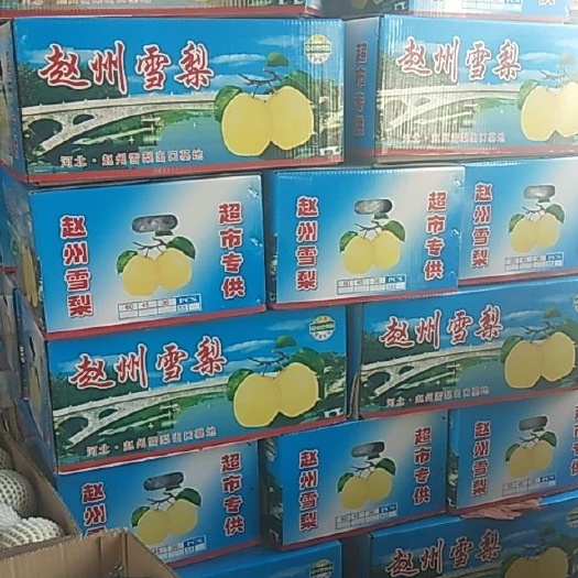 赵县 商品梨罐头梨价格低货源充足量大望广大客商前来采购