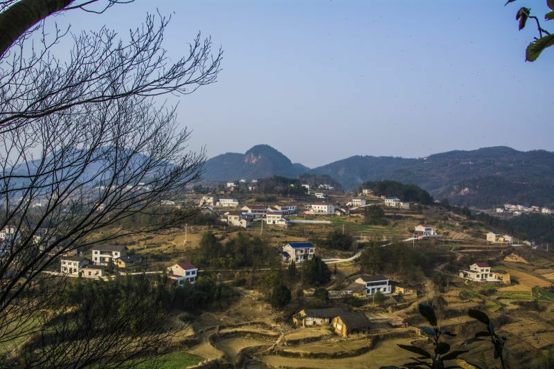 干土豆 高山农家天然晒制土豆片