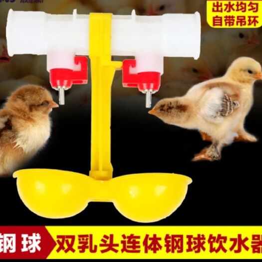 饮水设备 尔尼双乳.头鸡自动饮水器鸡用钢球饮水器自动喂水带吊杯养鸡设备