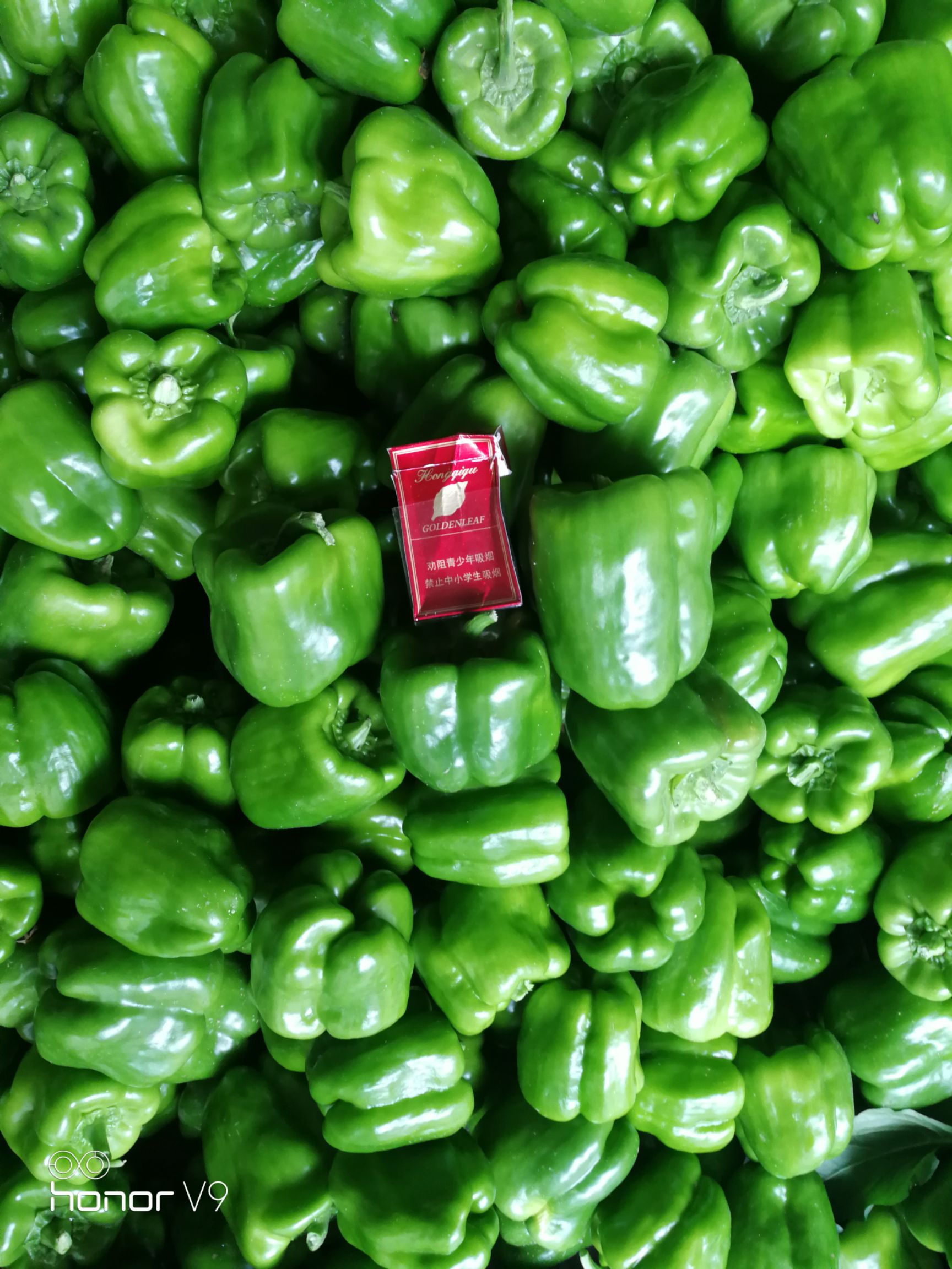  尖椒圆椒茄子豆角大量上市需要的联系我