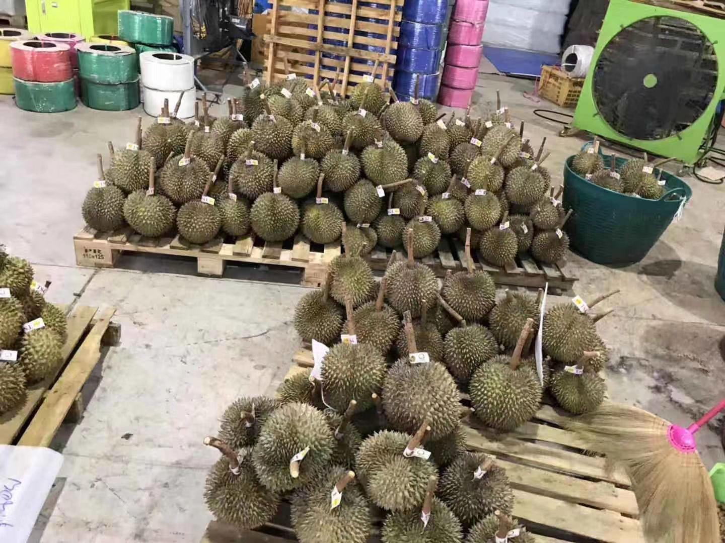  泰国 金枕头榴莲AB果(6~7头)